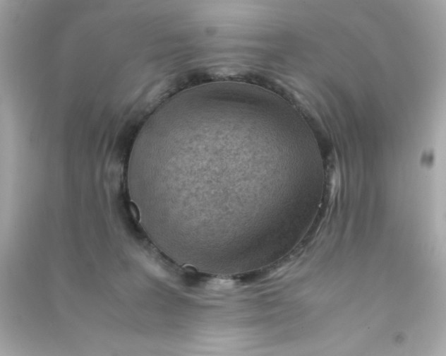 X0000090470227200708102141