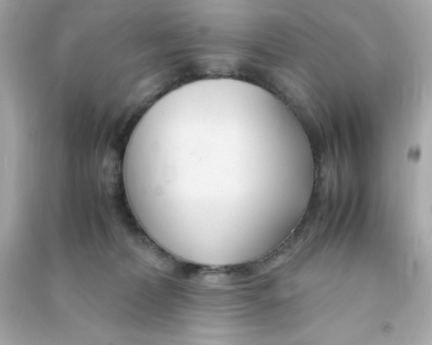 X0000090470228200708102141