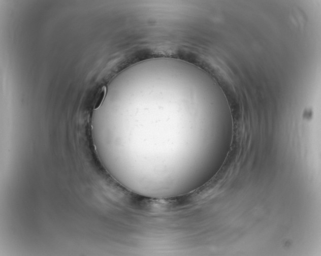 X0000090470229200708102141