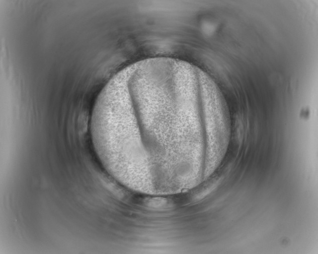 X0000090470230200708102140