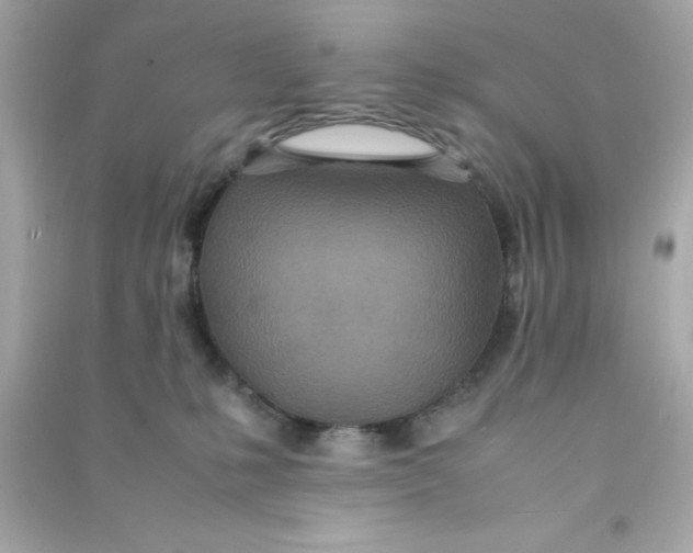 X0000090470231200708102140