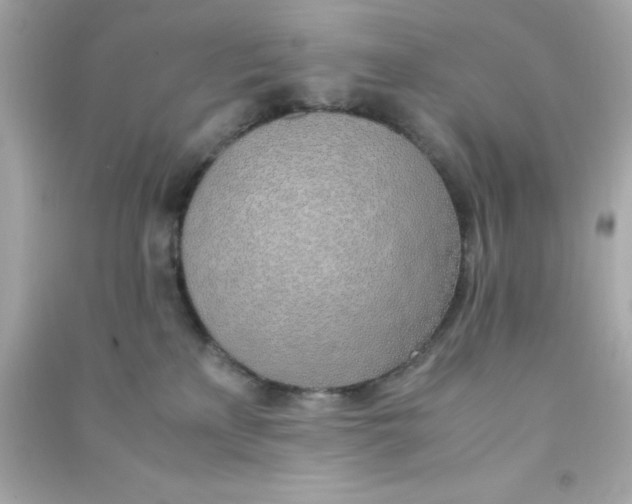 X0000090470233200708102140