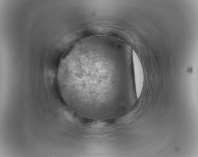 X0000090470235200708102140