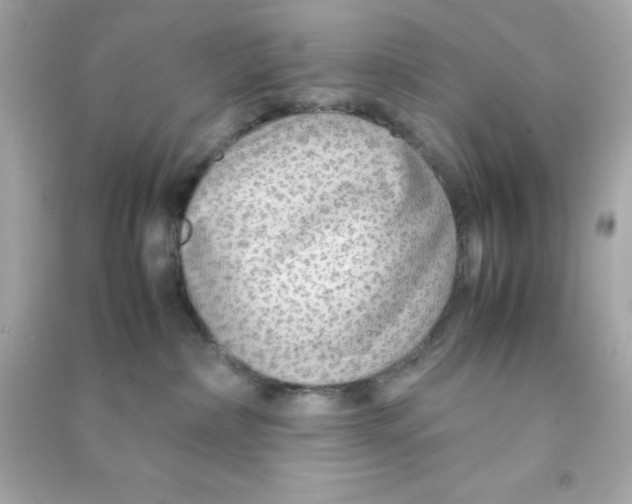 X0000090470236200708102140