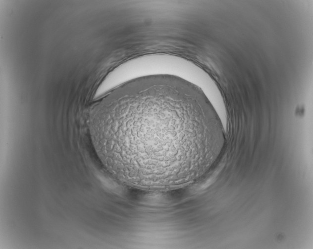 X0000090470237200708102140