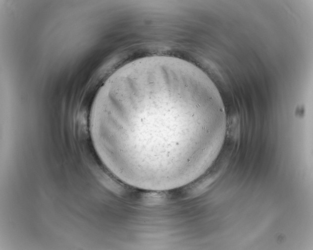 X0000090470238200708102140