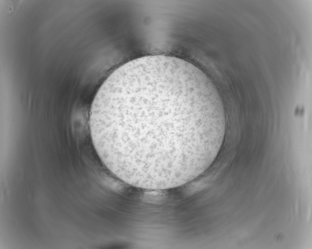 X0000090470240200708102140