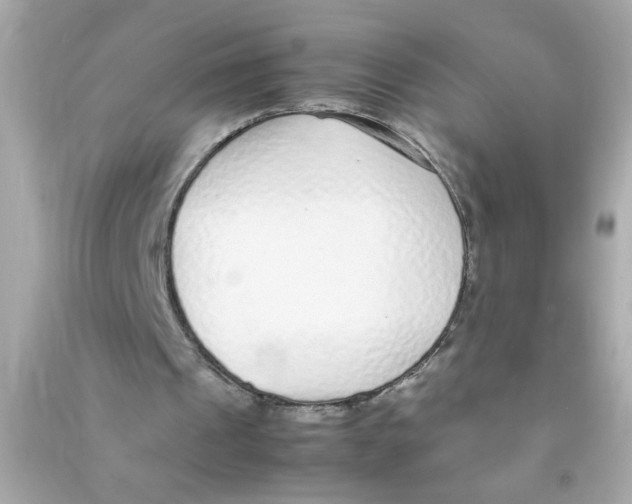 X0000090470241200708102140