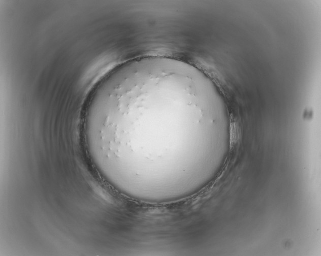 X0000090470243200708102140