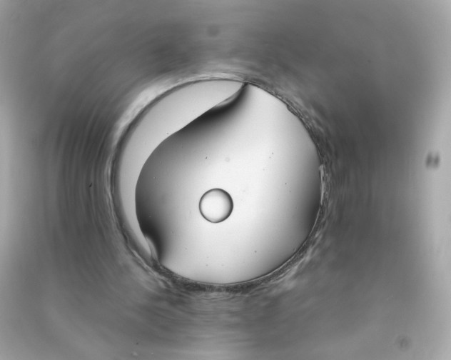 X0000090470244200708102140