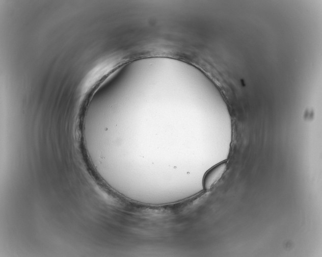 X0000090470245200708102140