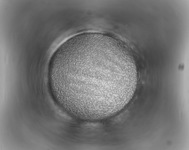 X0000090470247200708102140