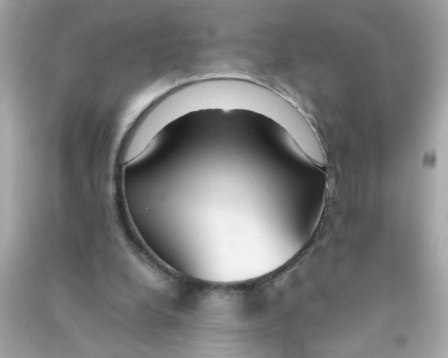 X0000090470248200708102140