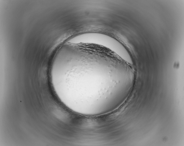 X0000090470250200708102140