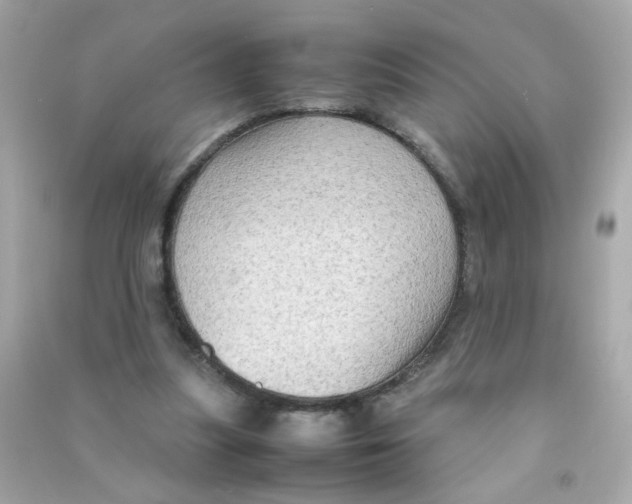 X0000090470251200708102140