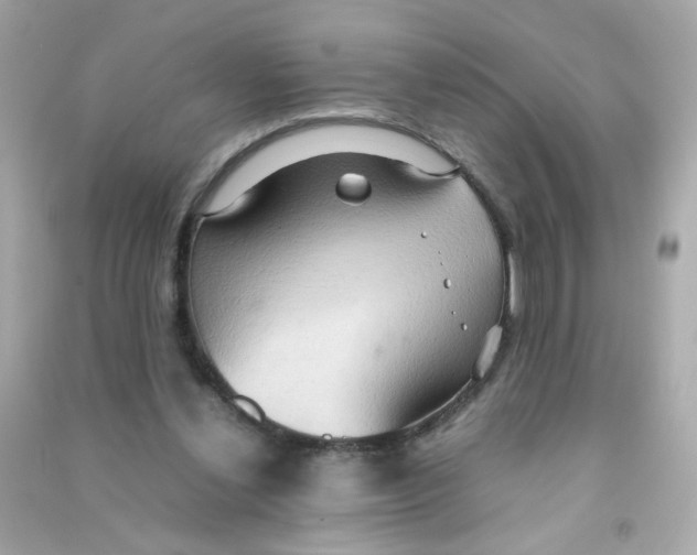 X0000090470252200708102140