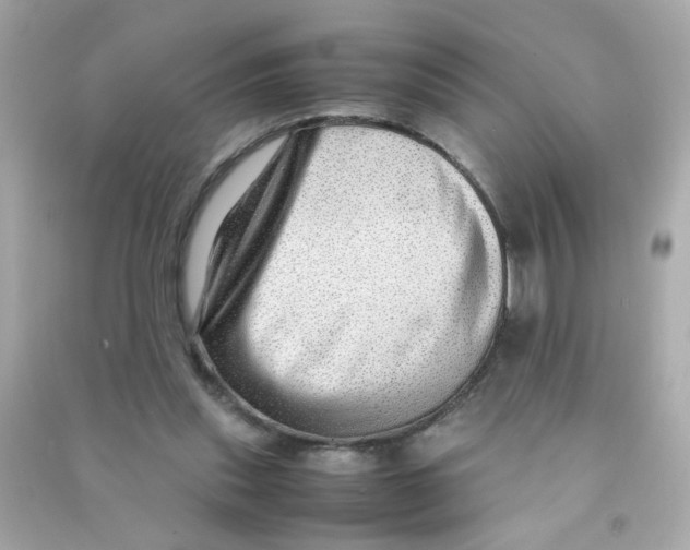 X0000090470253200708102140