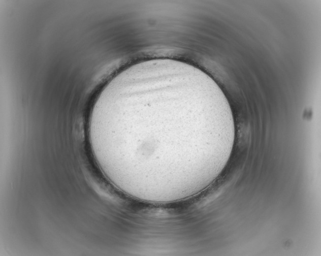 X0000090470254200708102140