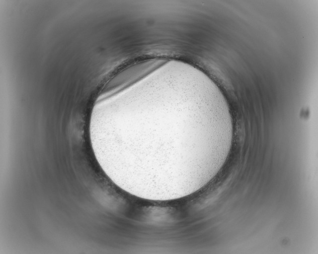 X0000090470255200708102140