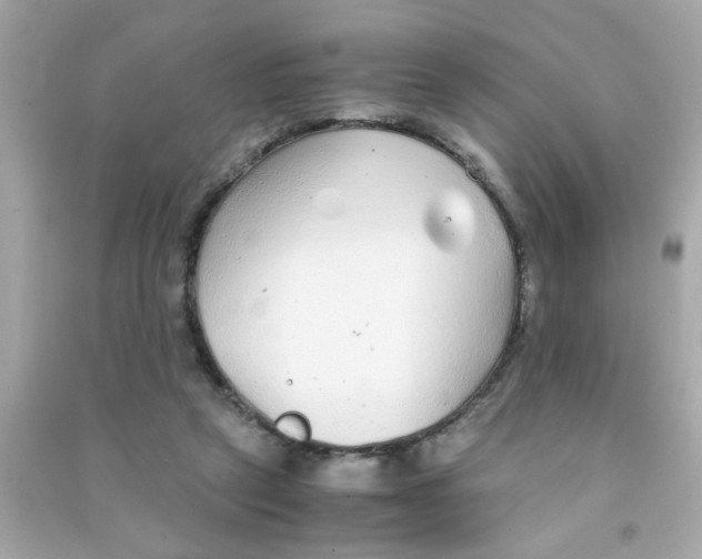 X0000090470257200708102140