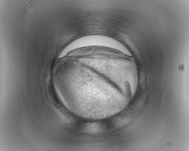 X0000090470259200708102140