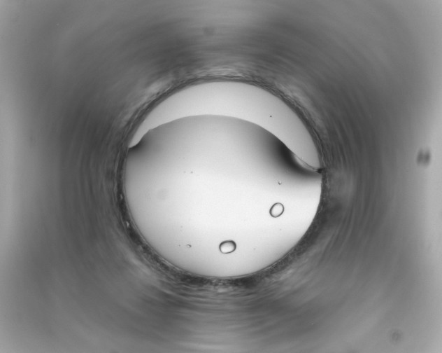 X0000090470260200708102140