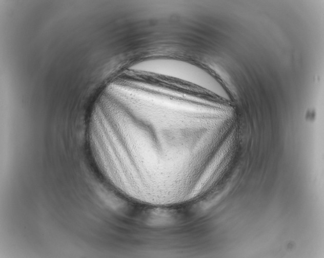 X0000090470261200708102140