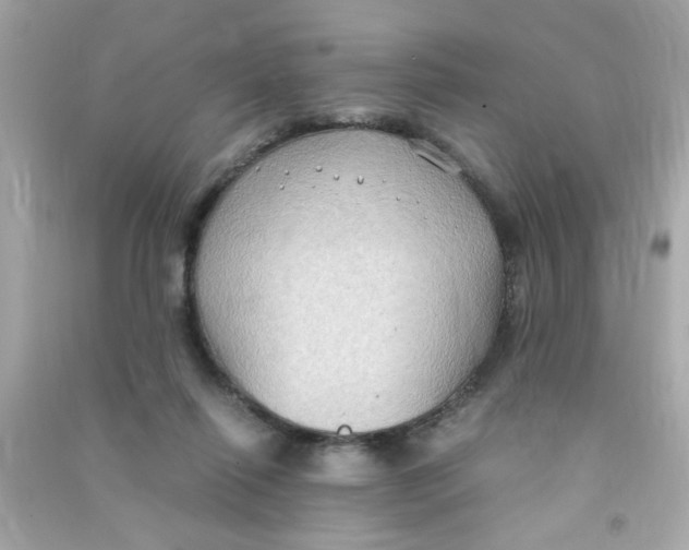 X0000090470262200708102140