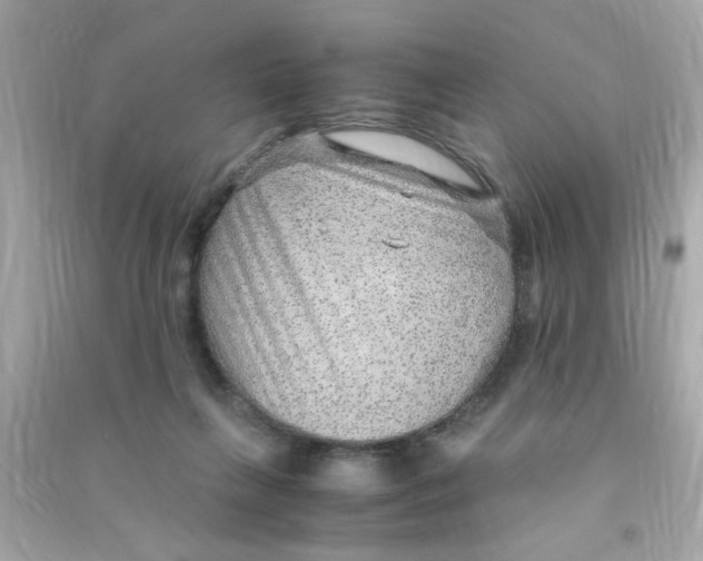 X0000090470263200708102140