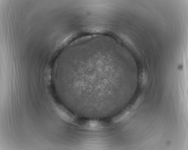 X0000090470264200708102140