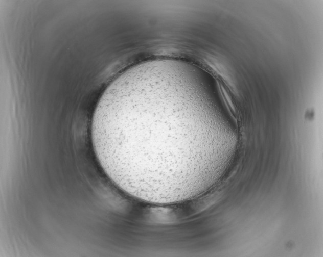 X0000090470265200708102140