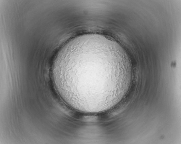 X0000090470266200708102140