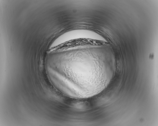 X0000090470267200708102140