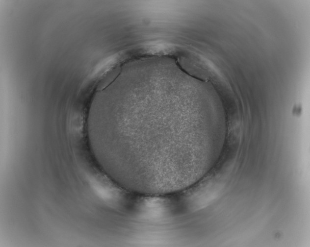 X0000090470268200708102140