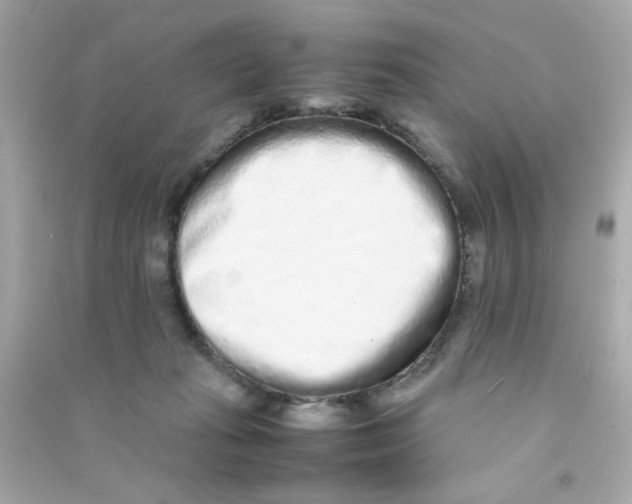 X0000090470269200708102140