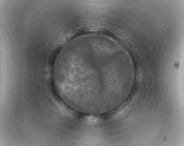 X0000090470272200708102140