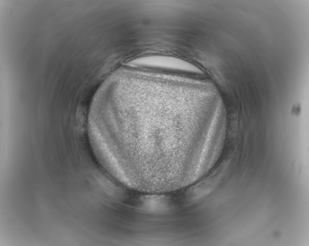 X0000090470273200708102140