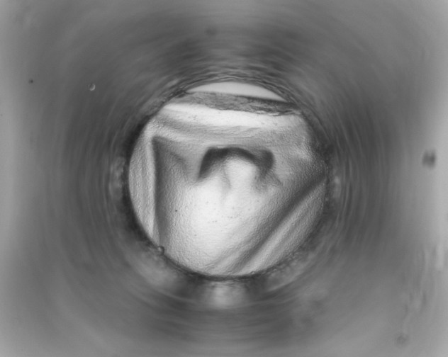 X0000090470275200708102140