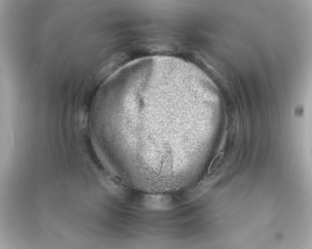 X0000090470281200708102140