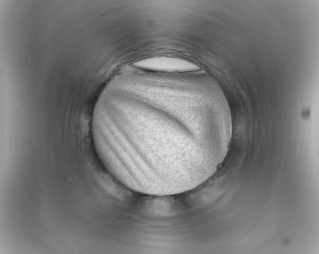 X0000090470282200708102140