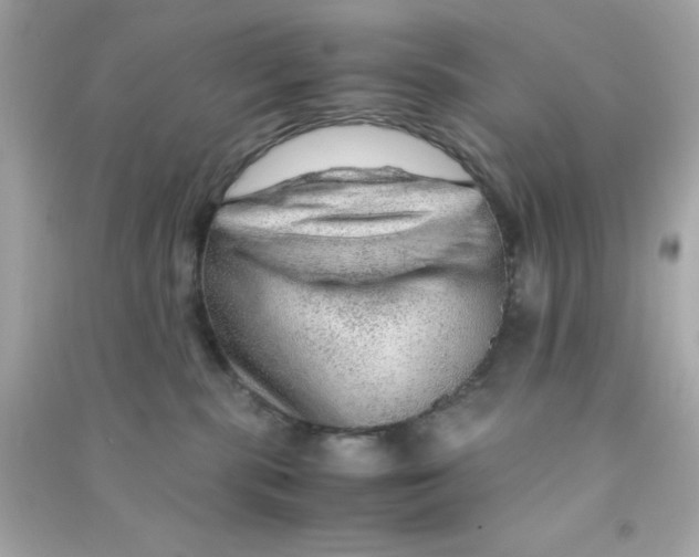 X0000090470283200708102140