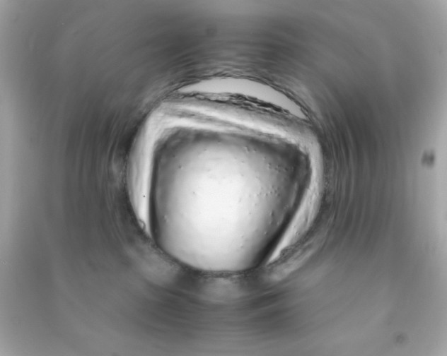 X0000090470285200708102140