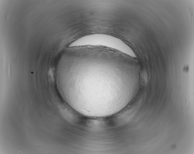 X0000090470286200708102140