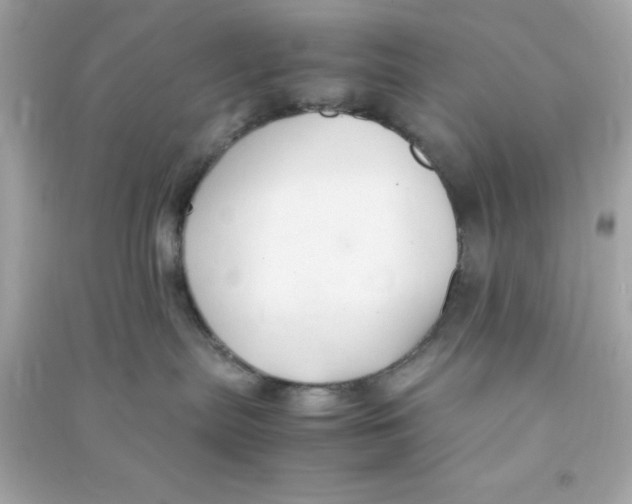 X0000090470287200708102140