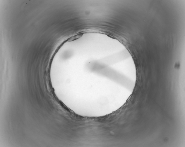 X0000090470289200708102140