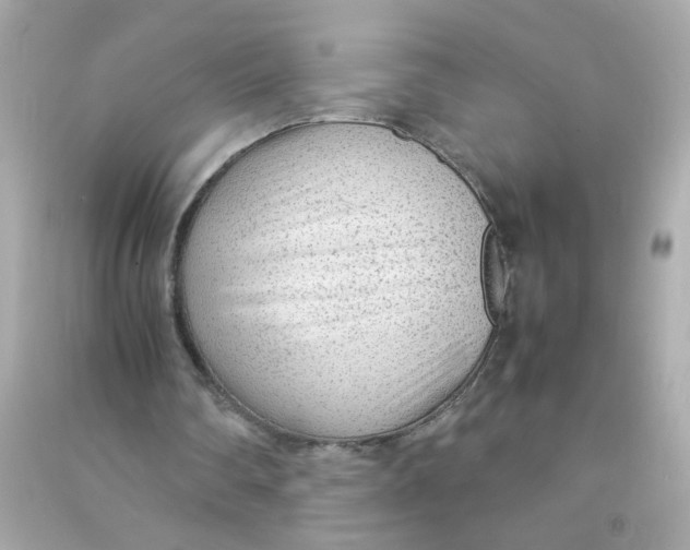 X0000090470290200708102139