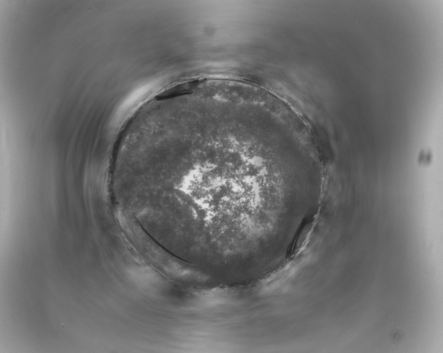 X0000090470293200708102139