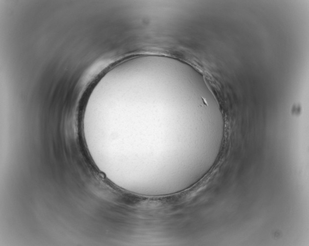 X0000090470294200708102139