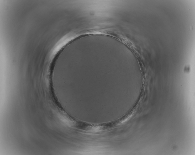 X0000090470295200708102139