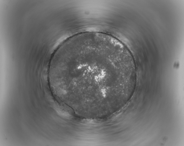 X0000090470297200708102139